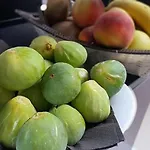 Casanova Oda ve Kahvaltı Minervino di Lecce